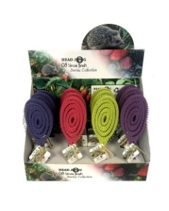 61835 BERRIES STRAW BRUSH- BOX OF 12