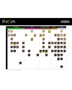 INOA