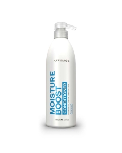 CARE & STYLE MOISTURE BOOST CONDITIONER