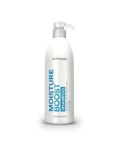 CARE & STYLE MOISTURE BOOST SHAMPOO