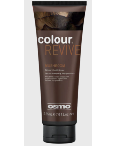 065302- COLOUR REVIVE MUSHROOM 225ML