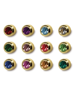 R213Y REG ASSORTED BEZELS 12